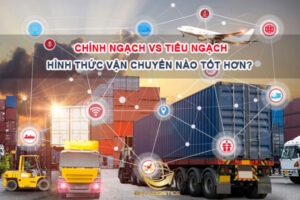 Nên chọn vận chuyển chính ngạch hay tiểu ngạch