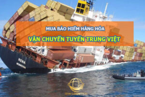 Bảo hiểm hàng hóa vận chuyển tuyến Trung Việt