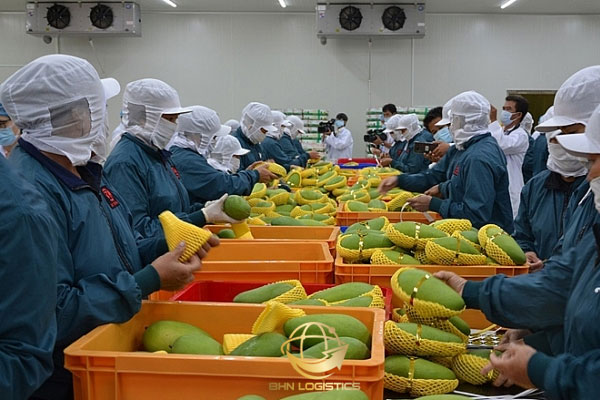 Những mặt hàng không phù hợp ghép container