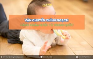 Vận chuyển Trung Việt chính ngạch hàng gặm nướu