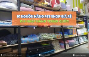 Phụ kiện pet nhập hàng Trung Quốc bằng vận chuyển chính ngạch