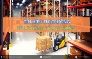 Ghép container khi nhập hàng Trung Quốc tối ưu chi phí