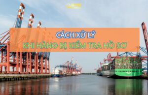 BHN Logistics hỗ trợ xử lý hồ sơ và vận chuyển Trung Việt chính ngạch.