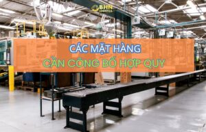 BHN Logistics hỗ trợ nhập hàng Trung Quốc và tư vấn công bố hợp quy