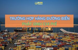 BHN Logistics hỗ trợ doanh nghiệp tối ưu chi phí vận chuyển Trung Việt chính ngạch.