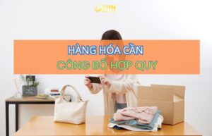 BHN Logistics hỗ trợ nhập hàng Trung Quốc và ghép container chính ngạch an toàn.