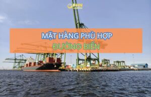 BHN Logistics tư vấn phương án vận chuyển Trung Việt phù hợp với từng lô hàng.