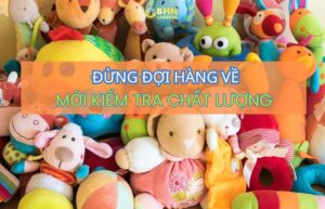 BHN Logistics hỗ trợ kiểm tra chất lượng hàng nhập khẩu và ghép container chính ngạch.