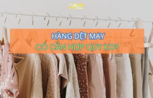BHN Logistics hỗ trợ nhập khẩu hàng dệt may và ghép container chính ngạch.