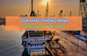 Nhập hàng Trung Quốc từ kho Trung Quốc về Việt Nam