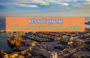 BHN Logistics cung cấp dịch vụ nhập hàng Trung Quốc chính ngạch, vận chuyển Trung Việt và hỗ trợ khai báo hải quan.