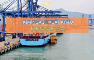 BHN Logistics cung cấp dịch vụ vận chuyển Trung Việt, hỗ trợ khai báo hải quan và giao hàng về Việt Nam.